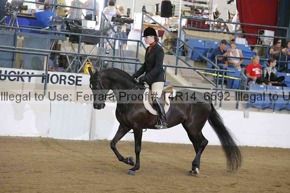 Proof Number 14r14_6592