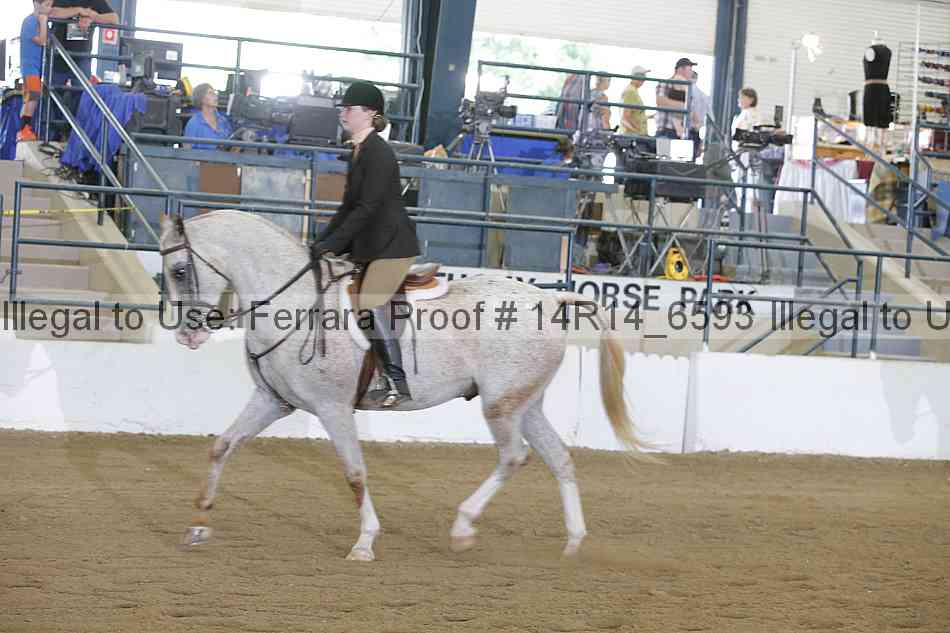 Proof Number 14r14_6593