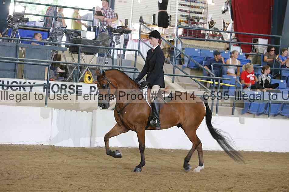 Proof Number 14r14_6595
