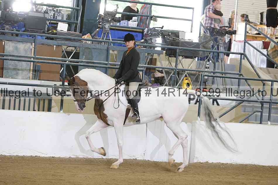 Proof Number 14r14_6599