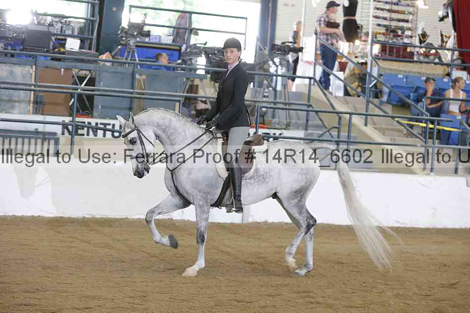 Proof Number 14r14_6602