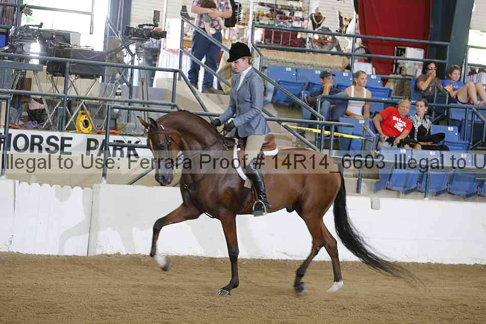 Proof Number 14r14_6603