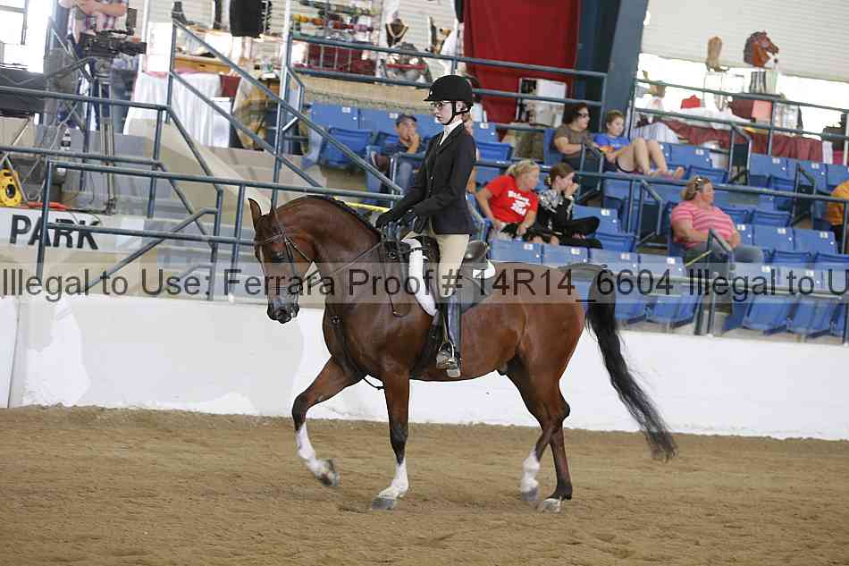 Proof Number 14r14_6604