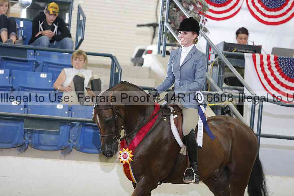 Proof Number 14r14_6608