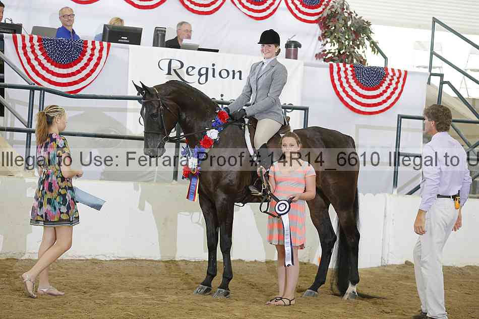 Proof Number 14r14_6610