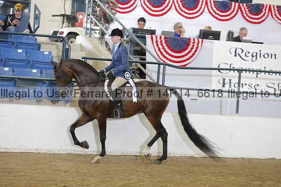 Proof Number 14r14_6618