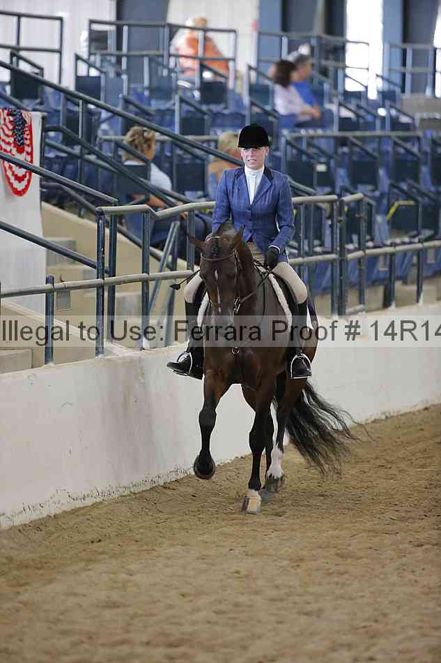 Proof Number 14r14_6620