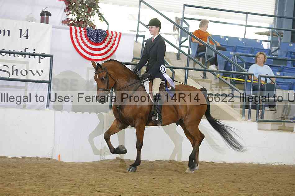 Proof Number 14r14_6622