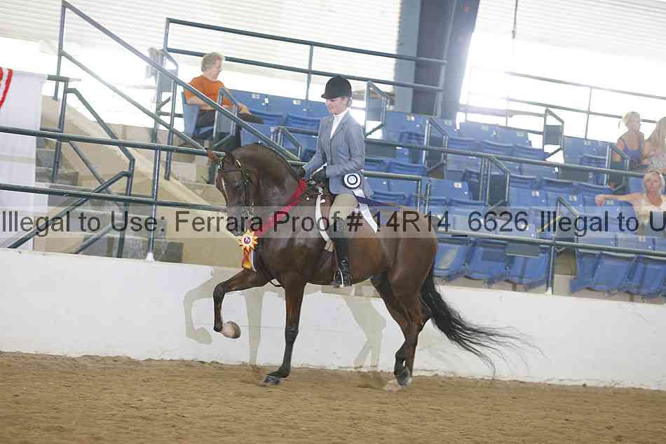 Proof Number 14r14_6626