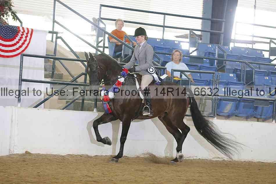 Proof Number 14r14_6632