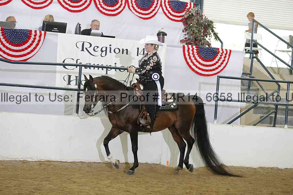 Proof Number 14r14_6658