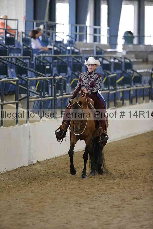 Proof Number 14r14_6663