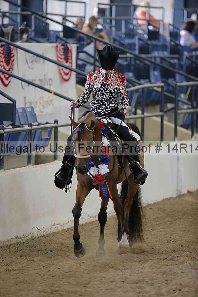 Proof Number 14r14_6673
