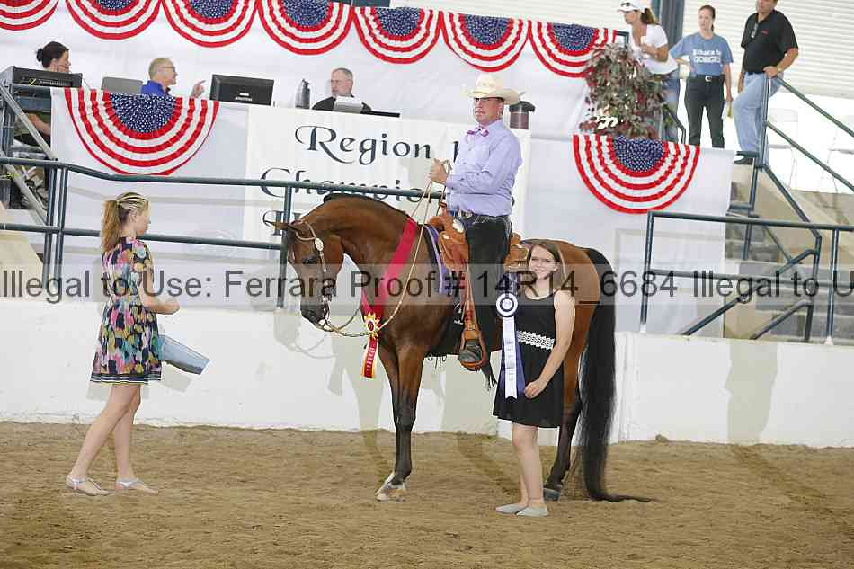 Proof Number 14r14_6684