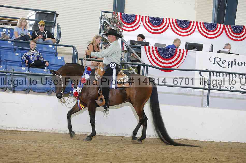 Proof Number 14r14_6701