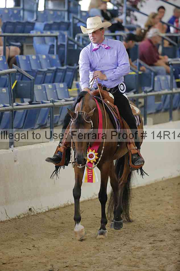 Proof Number 14r14_6703