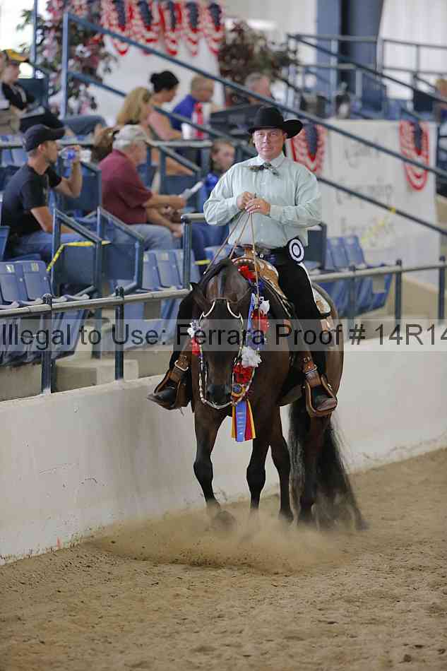 Proof Number 14r14_6705