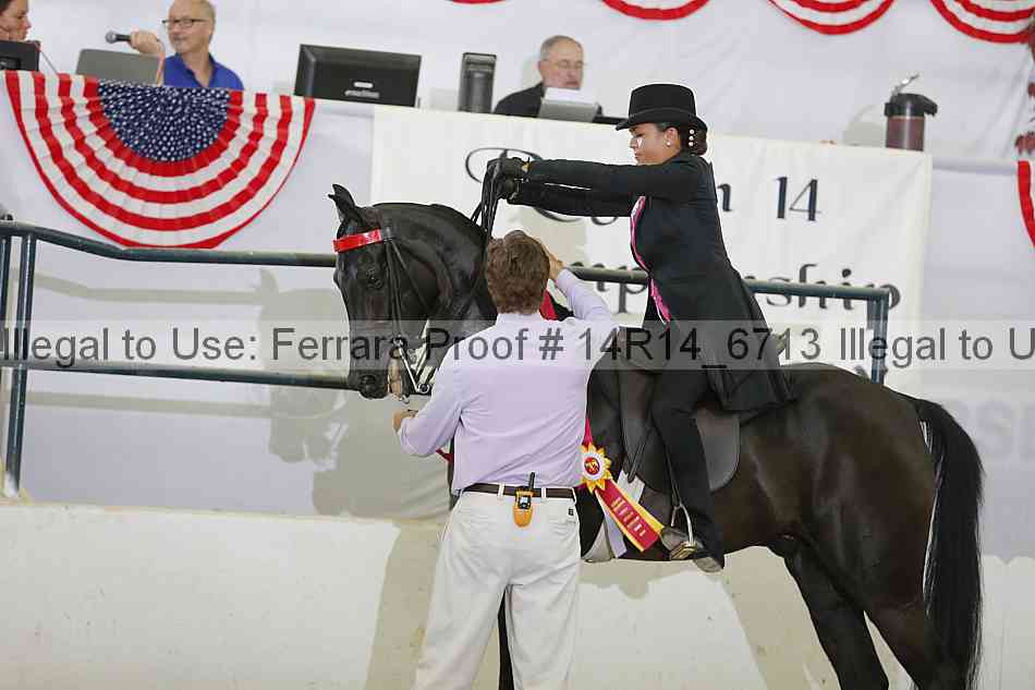 Proof Number 14r14_6713