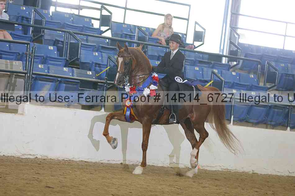 Proof Number 14r14_6727