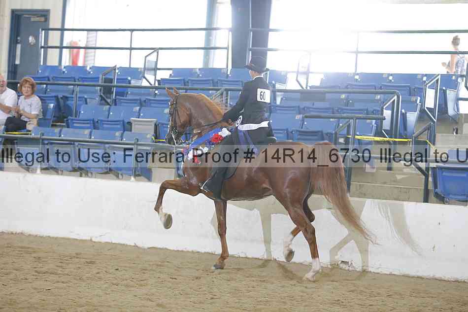Proof Number 14r14_6730