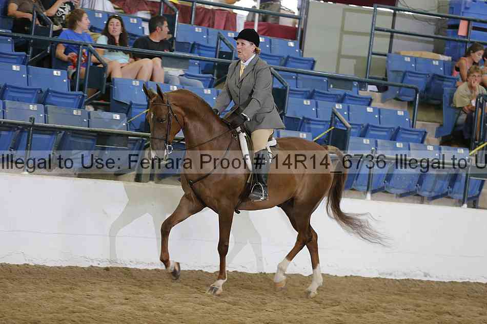 Proof Number 14r14_6736