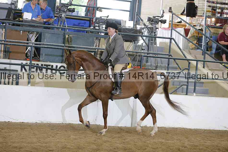 Proof Number 14r14_6737
