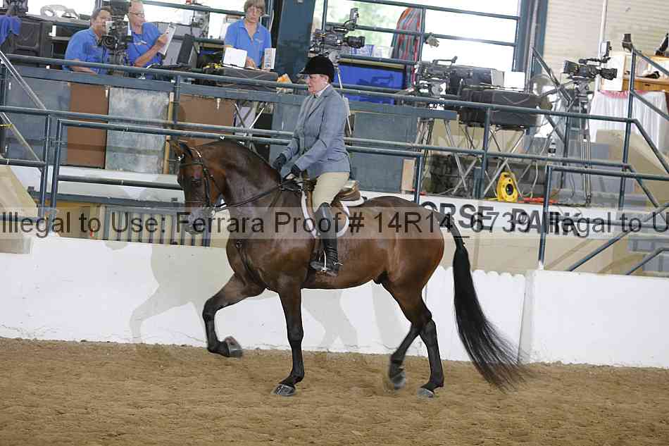 Proof Number 14r14_6739