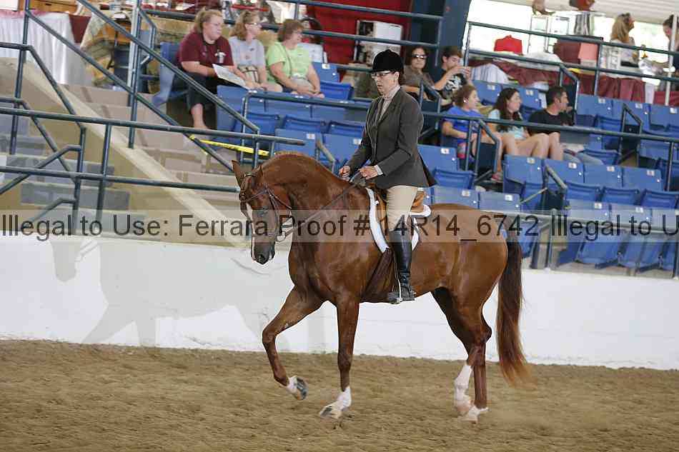 Proof Number 14r14_6742