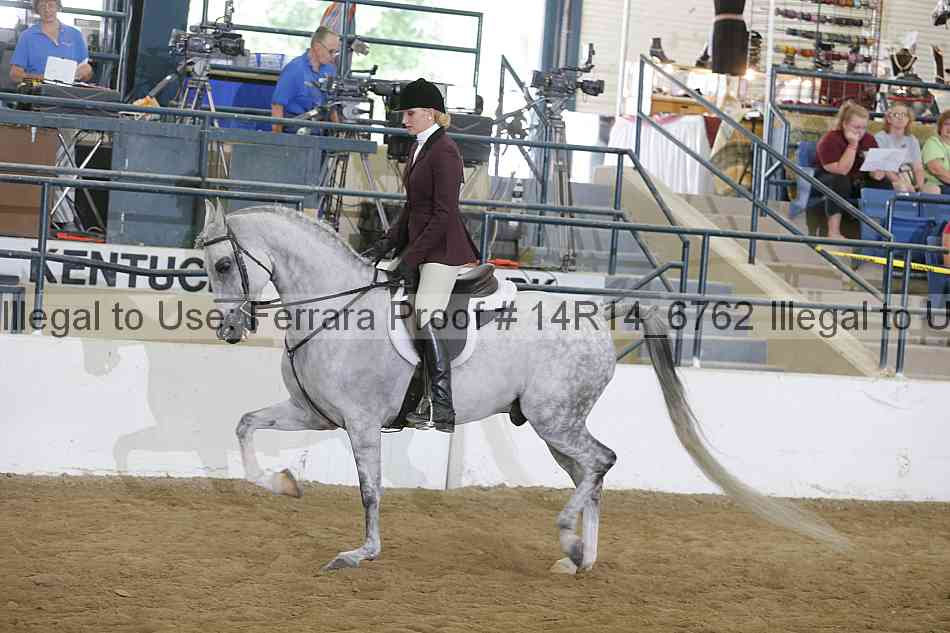 Proof Number 14r14_6762
