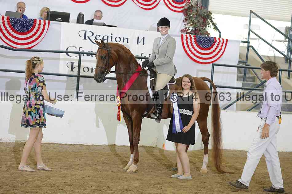 Proof Number 14r14_6763