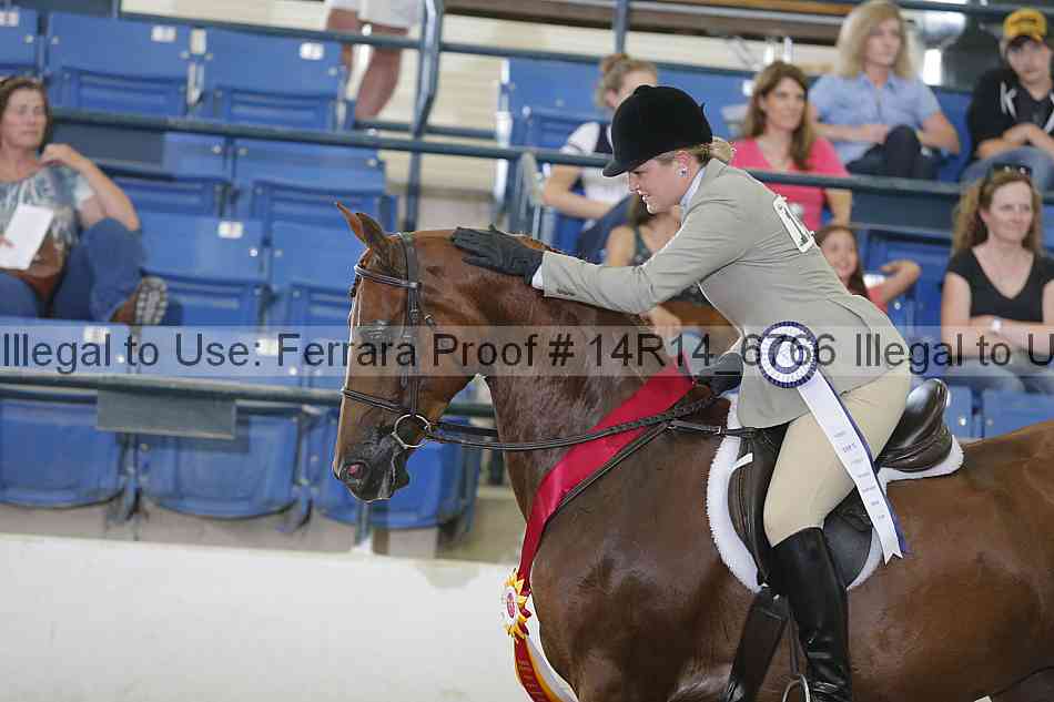 Proof Number 14r14_6766