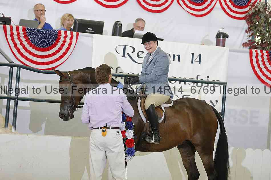 Proof Number 14r14_6769