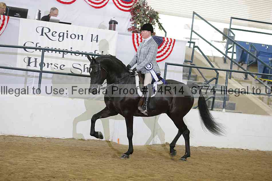 Proof Number 14r14_6774