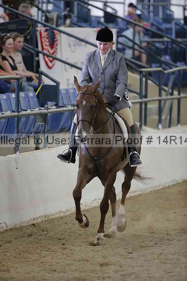 Proof Number 14r14_6777
