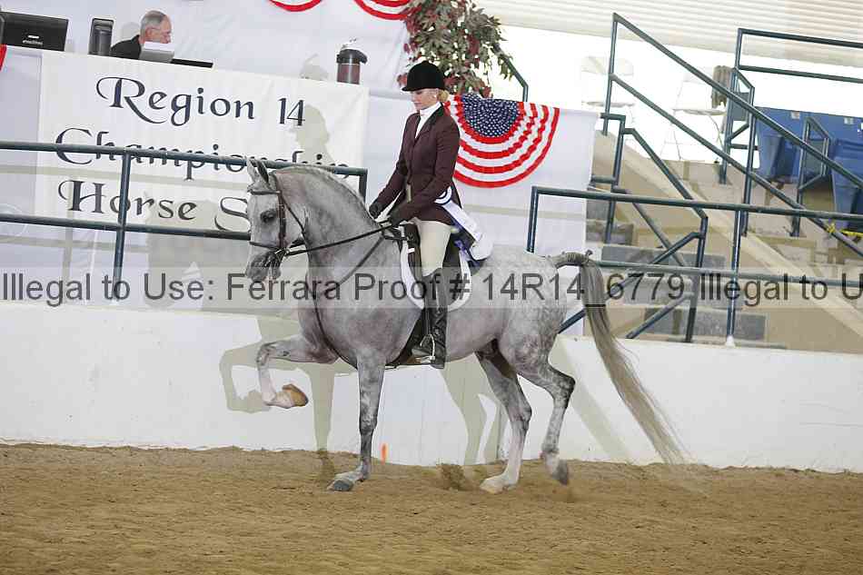 Proof Number 14r14_6779