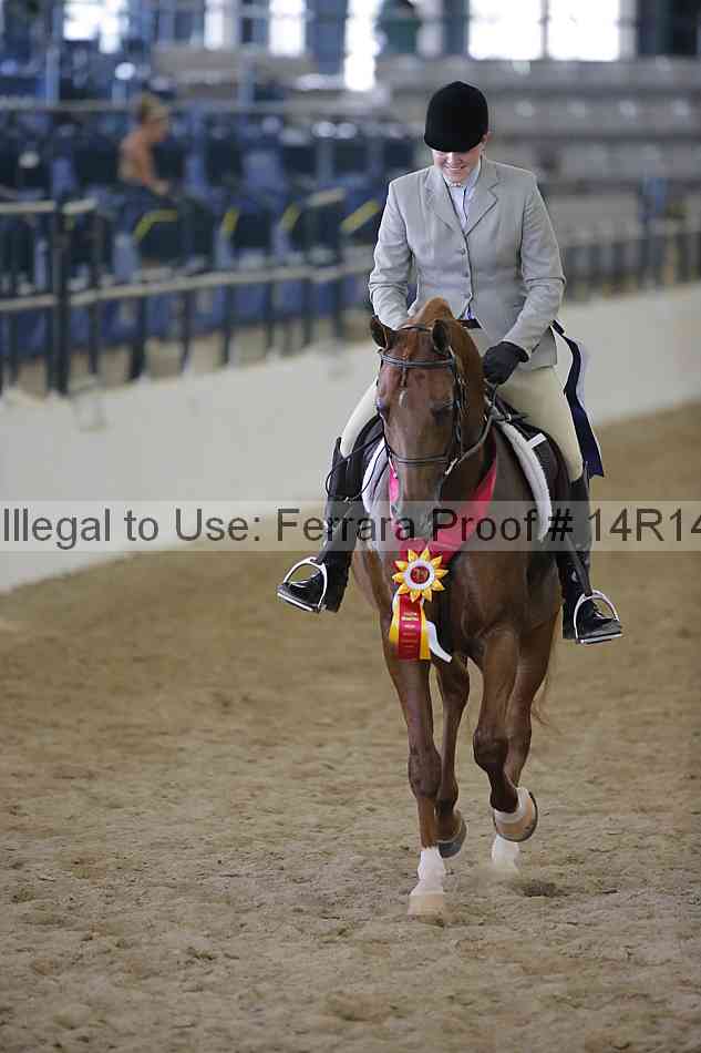 Proof Number 14r14_6784