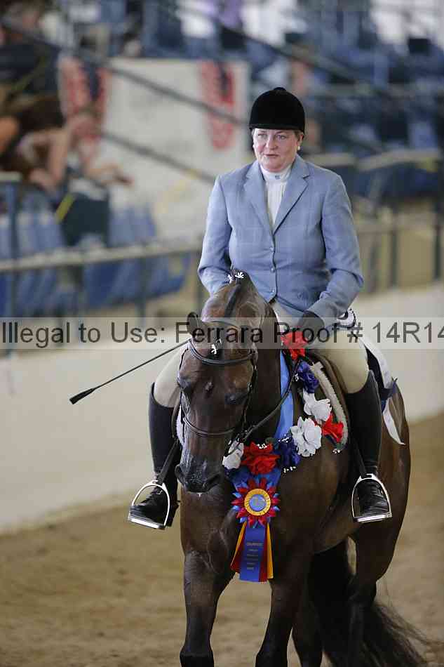 Proof Number 14r14_6790