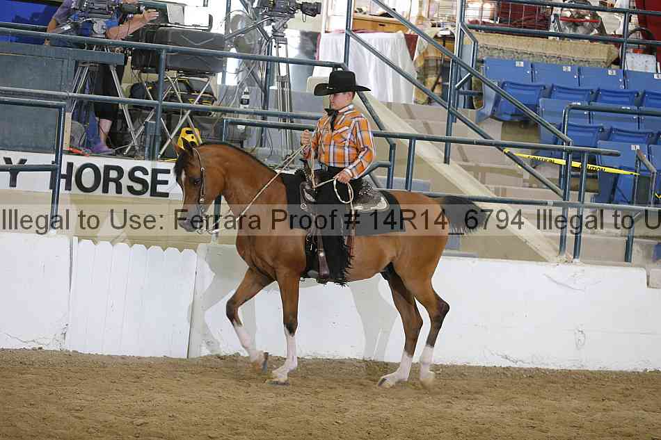 Proof Number 14r14_6794