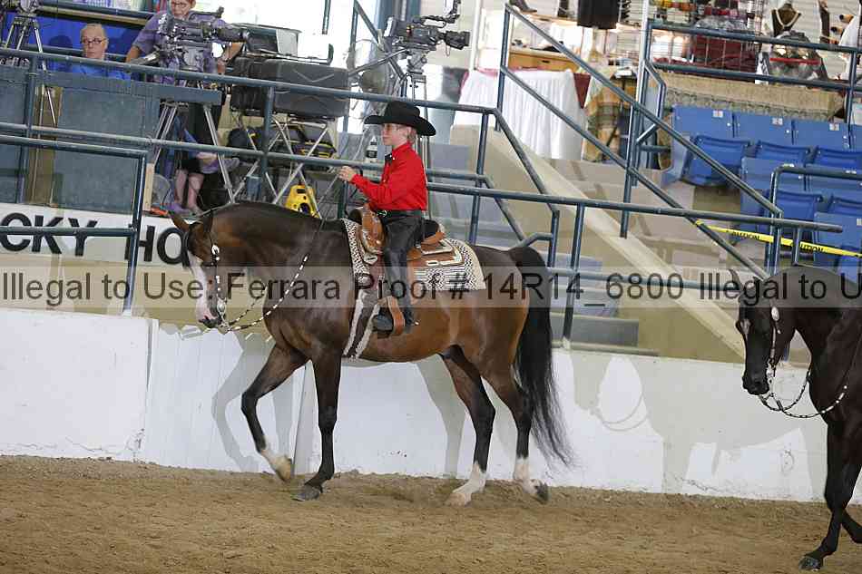 Proof Number 14r14_6800