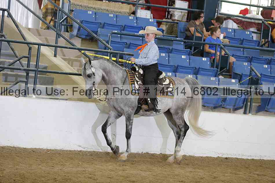 Proof Number 14r14_6802