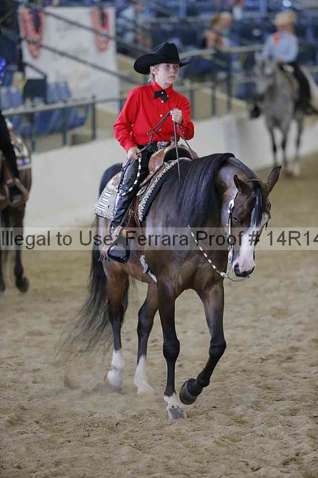 Proof Number 14r14_6806