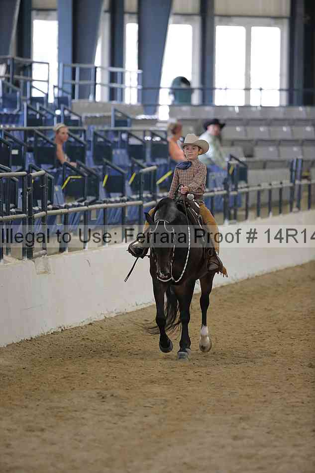 Proof Number 14r14_6809