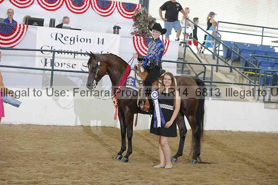 Proof Number 14r14_6813