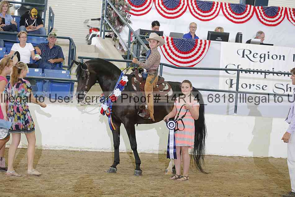 Proof Number 14r14_6818