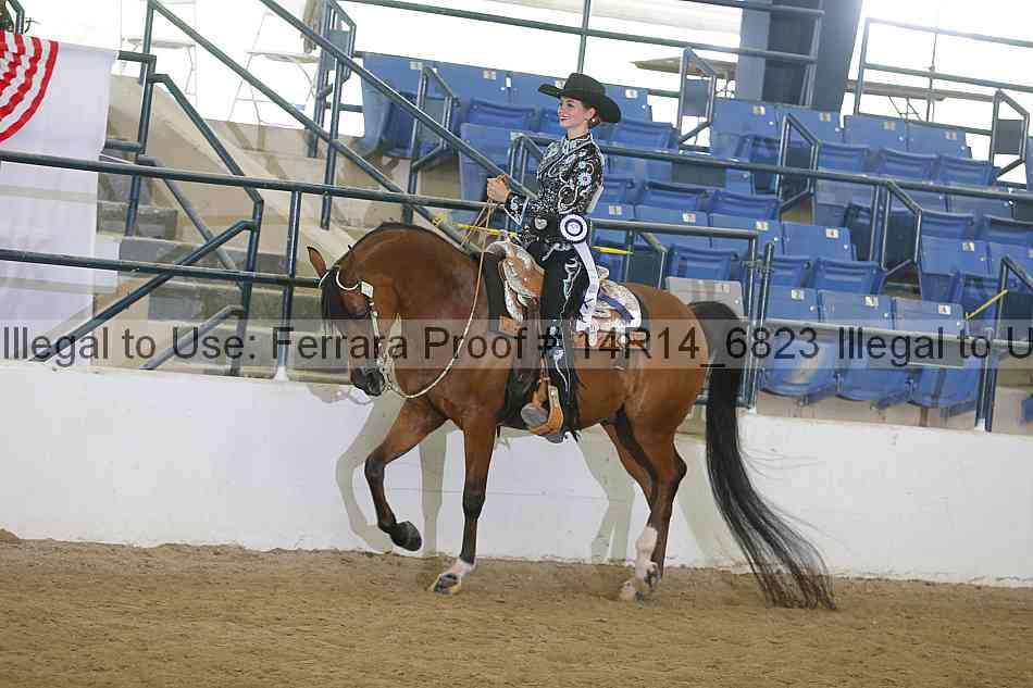 Proof Number 14r14_6823