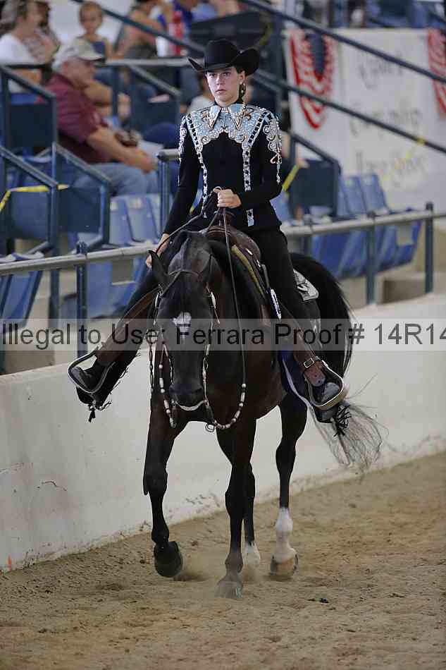 Proof Number 14r14_6824
