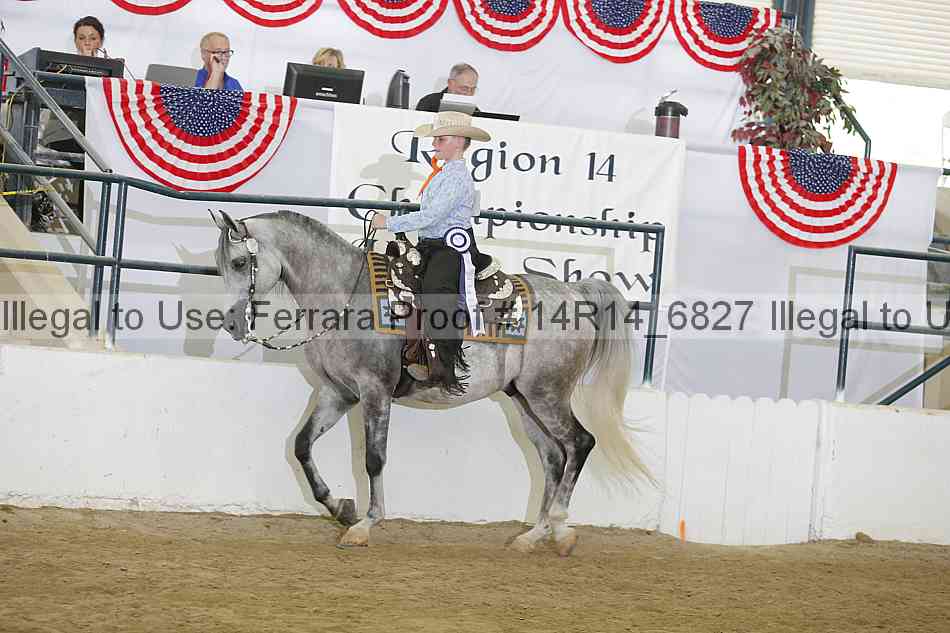 Proof Number 14r14_6827