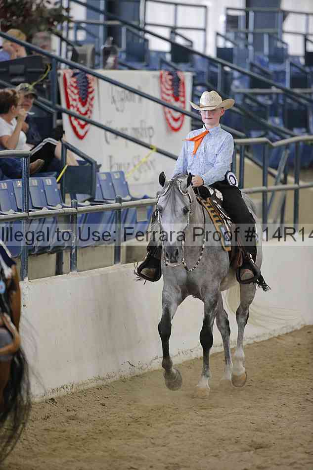 Proof Number 14r14_6829
