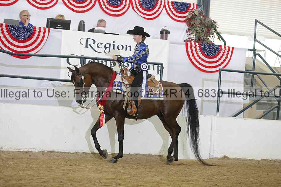 Proof Number 14r14_6830