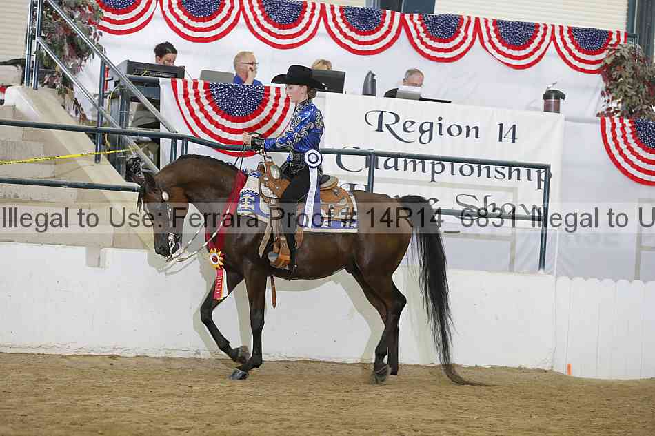 Proof Number 14r14_6831